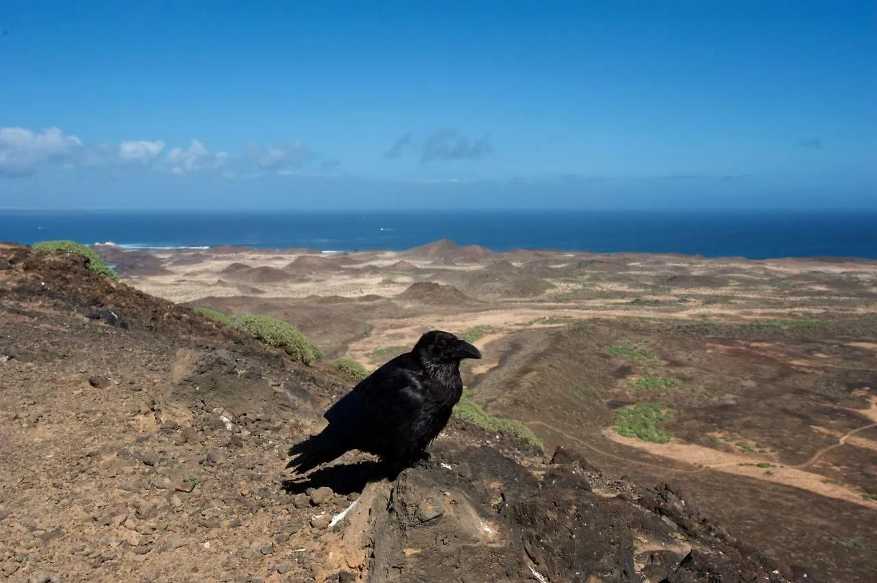 Апартаменты Molino De El Roque El Cotillo  El Cotillo (Fuerteventura)