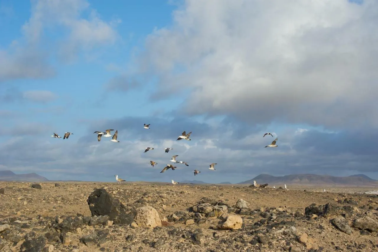 Апартаменты Molino De El Roque El Cotillo  0*, El Cotillo (Fuerteventura)